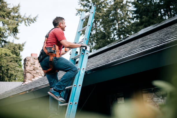 Skylights in Carbondale, CO